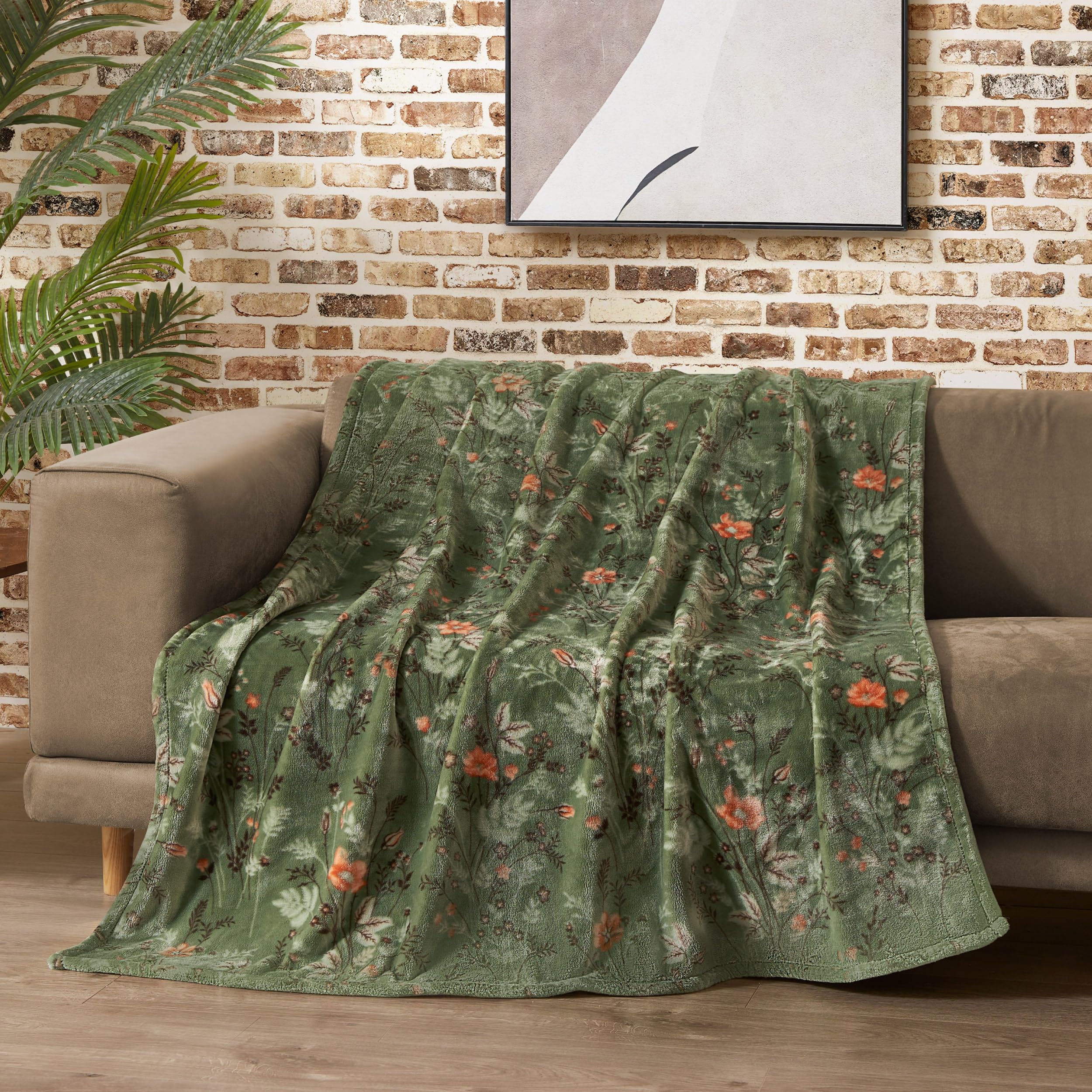 Amazon.com: Lucky Brand Wildflower Green Floral 50